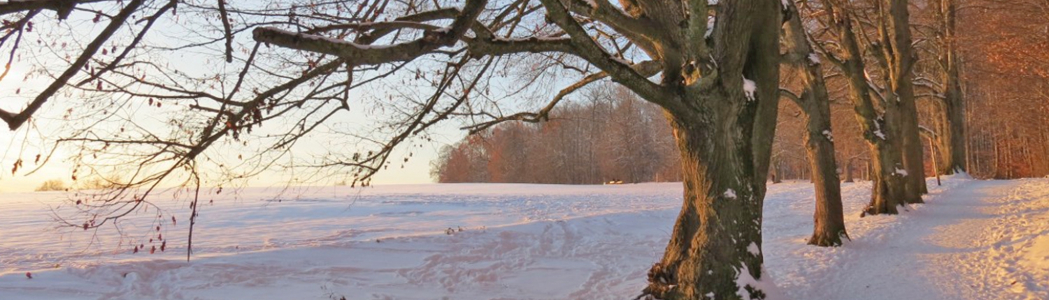 Wir sind für Sie da, auch zwischen den Jahren